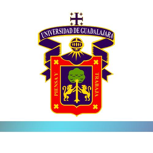 Universidad de Guadalajara