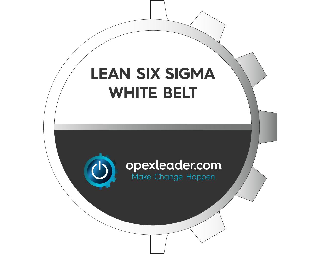 VIVE LA EXPERIENCIA OPEXLEADER.COM ➡️